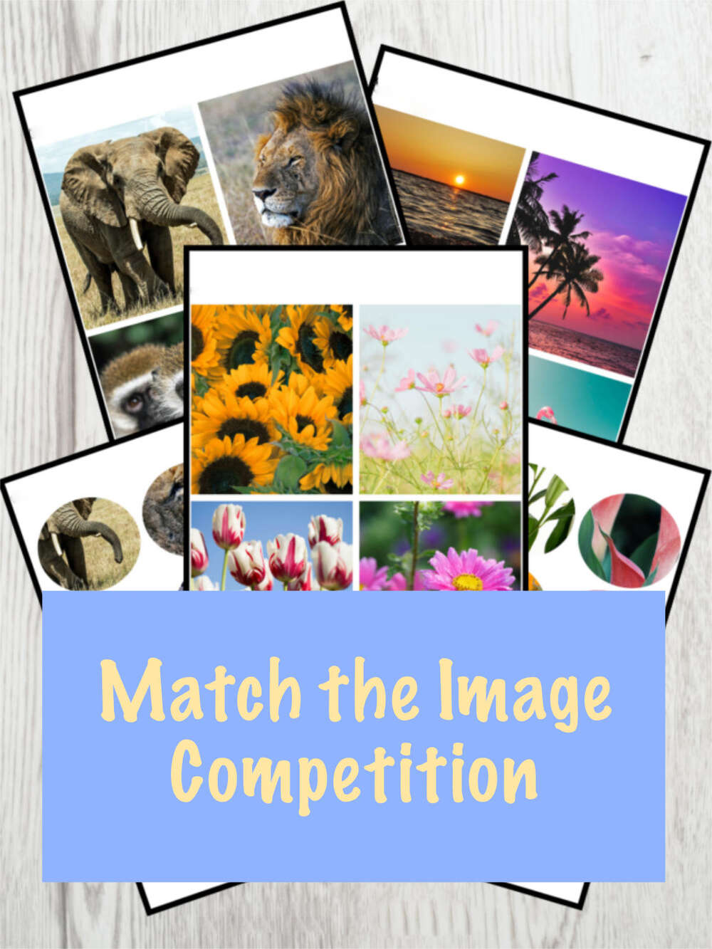Monday 8th December - Match the Image Competition Carshalton versus Old Coulsdon CC